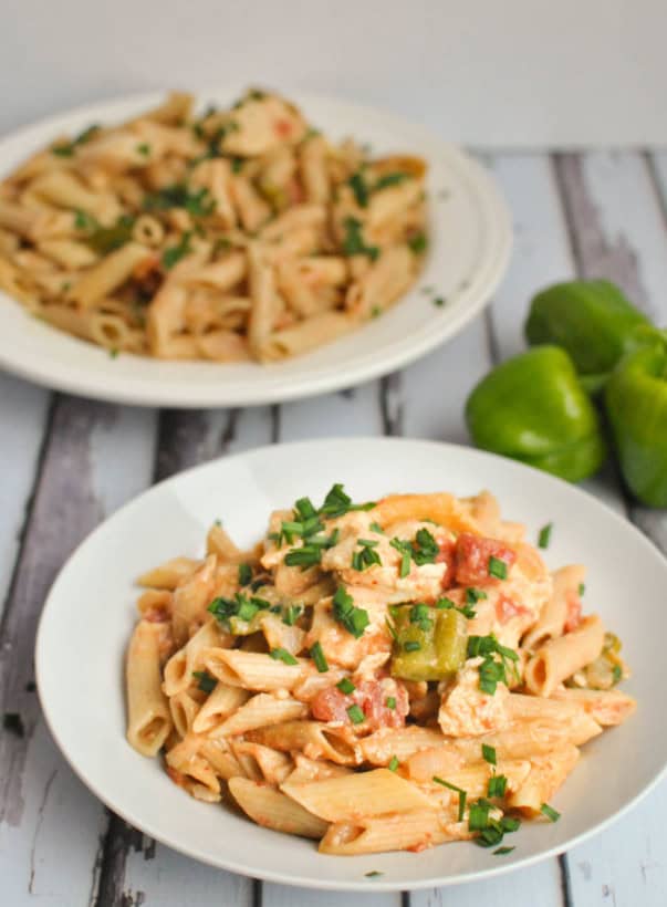 Creamy Harissa Spiced Chicken Pasta with Peppers