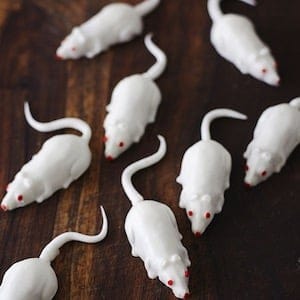 halloween mice cakes intro2