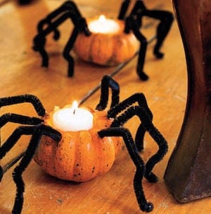 spider mini pumpkins for a halloween table