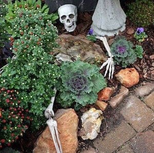 Partially Buried Skeleton