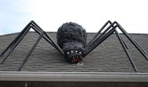 giant spider