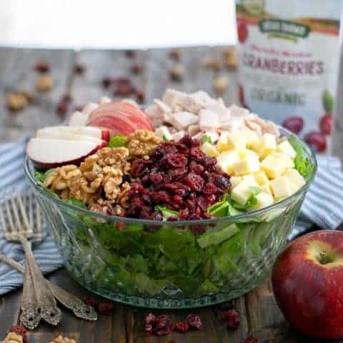 Apple Cranberry Salad