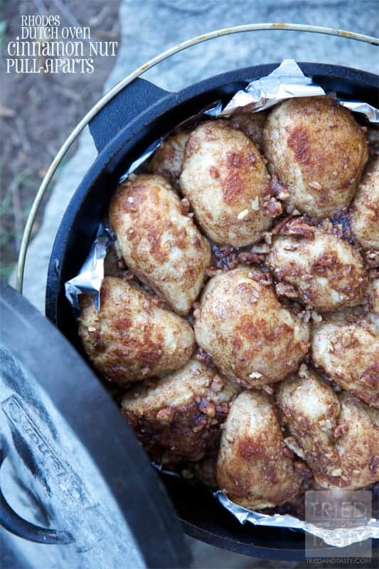 A variety of campfire meals including foil packet dinners, campfire breakfasts, and campfire desserts cooking over a fire.