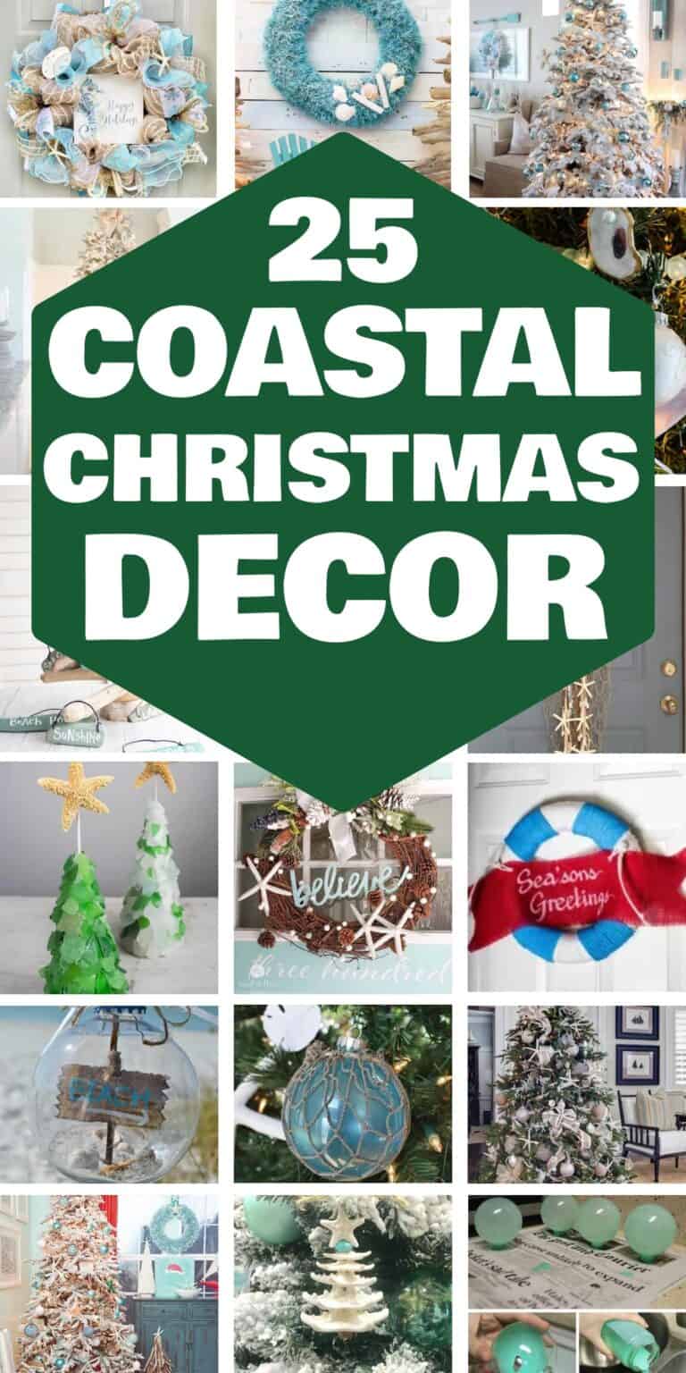 25 Charming Coastal Christmas Decorations