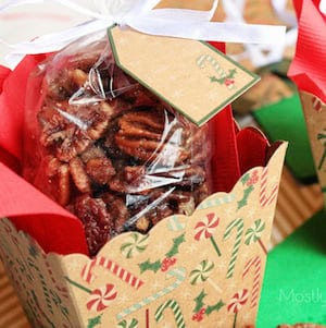 Crockpot Roasted Sugared Pecans 