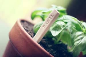 diy_garden_markers1