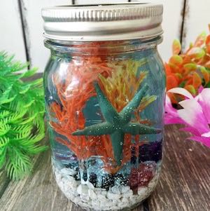 Mini Mason Jar Aquariums PM2