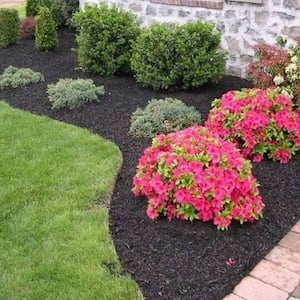 affordable landscaping title