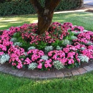 Colorful Flower Tree Ring