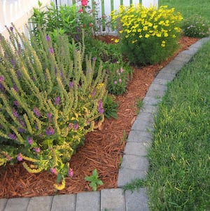 Front Yard Garden